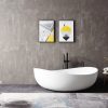 Acrylic Baretub