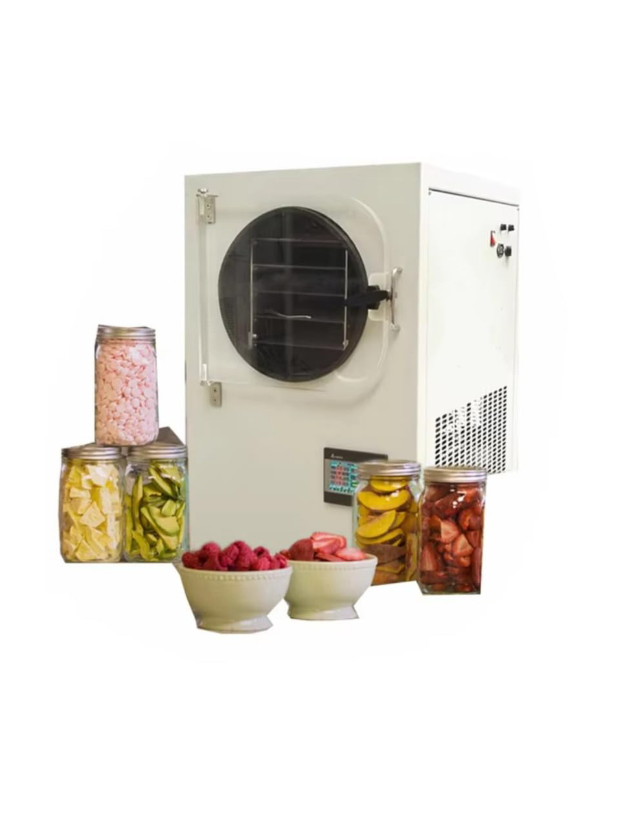 Home Freeze Dryer Machine with Pump & Trays